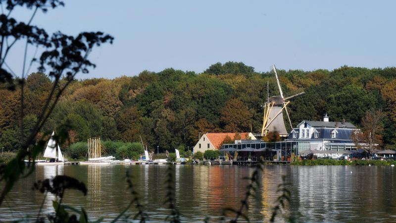 Molens aan de plas